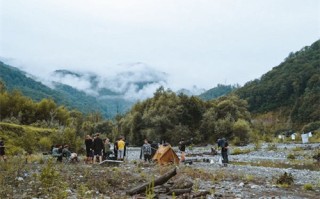 电视剧情中情剧情介绍（情中情 电视剧砸车）