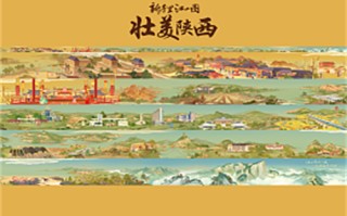 奇葩电影剧情介绍（奇葩电影剧情介绍分集）