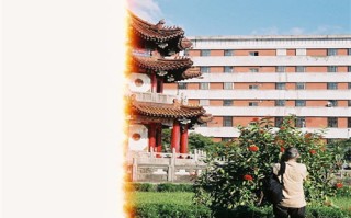 情书详细剧情介绍（情书剧情介绍简介）