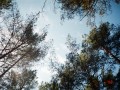 剧情介绍和剧情预告（剧情介绍大结局）