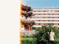 逆转胜剧情介绍（电影逆转胜）