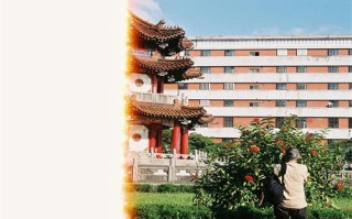 迷tvb剧情介绍（迷tvb电视剧国语在线观看）