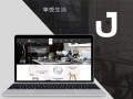 远去飞鹰剧情介绍（电视剧远去的飞鹰）